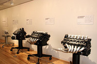 4基展示されたホンダF1エンジン。左から1965年「RA272E」（1.5リッターV12、ピストン＆クランク・アッセンブリー）、1988年「RA168E」（1.5リッター・ターボ）、1989年「RA109E」（3.5リッターV10）、1992年「RA122E/B」（3.5リッターV12）。
