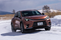 img_58a8f638ef239323b62faf45da