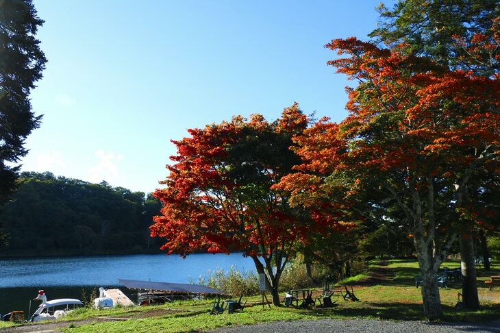 早朝の、あまり人のいない蓼科湖をパシャリ。紅葉した木々の赤と、緑の芝のコントラストがいい感じ。