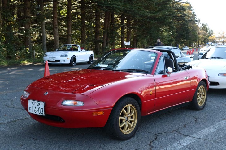 原点となる初代モデル「ユーノス・ロードスター」（NA）は239台が参加。新車時からと思われる２ケタナンバー車も多く見られた。レストア事業に伴うパーツ供給体制も強化されているが、最終型でも今年で23年が経過していることもあって参加台数は減少傾向にあるものの、それでも全体で２番目に参加台数が多い。