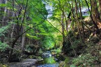 お店の裏の渓流にて涼む。風情があって素晴らしいけど、虫！ 虫が！ 虫よけを持参すればよかった。