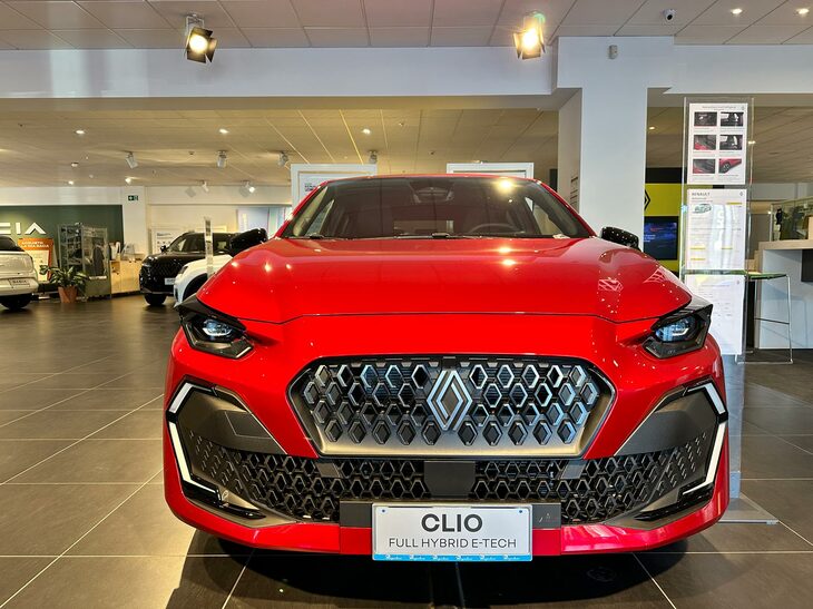 ロサンジュが反復されたラジエーターグリル。欧州のユーザーを悩ます虫が付着したときに掃除しにくそう、と心配なのは筆者だけか。