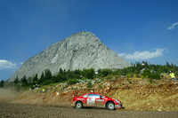 プジョーのWRカー。トルコラリーにて。（写真＝プジョージャポン）