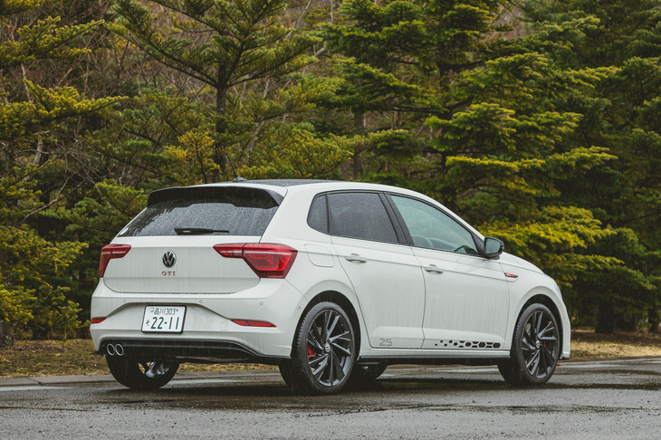 この試乗車のボディーカラーは「アスコットグレー」。「ポロGTI」には初めて設定された黄みがかったグレーだ。