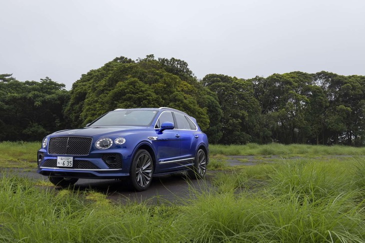 ダークティント仕立てのフロントグリル＆バンパーが高性能バージョンたる「スピード」の証しだ。