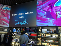 オフィシャルグッズ陳列棚の頭上にも、ダルコ氏の作品が。