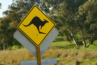 WRC第10戦ラリー・オーストラリア報告（その2）【WRC 03】の画像