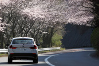 【テスト車のオプション】 メディアンクロスインテリア<メリディアンゴールド>＝2万1000円／iDriveナビゲーションパッケージ＝31万5000円／ファインライン・ウェーブ・ウッドトリム＝6万5000円／電動パノラマガラスサンルーフ＝20万3000円／電動フロントシート＝16万1000円／パークディスタンスコントロール＝10万8000円