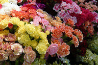 （注）写真は感謝のイメージです。