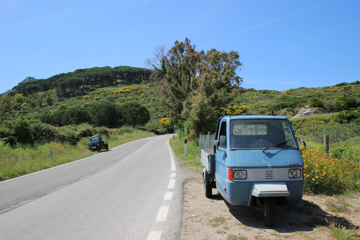 島の西側の村ジーリオ・カンペーゼへと向かう唯一の舗装道路にも、「アペTM」がうじゃうじゃ。なお、このTMはすでに絶版となっている。
