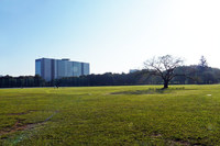 東京・武蔵野市に位置する武蔵野中央公園は、中島飛行機武蔵製作所の跡地を利用したもの。富士重工業の前身となった中島飛行機の創立は1917年なので、来年はその100周年にあたる。