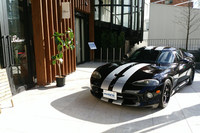 われらが「バイパー」は、2月14日から24日まで、代官山のポディウムカフェのエントランスに展示された。見に来てくださった皆さま、本当にありがとうございます。