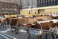 本音と建て前の中で、音もなく台上に現れたコンセプトカーたち【デトロイトショー08】の画像