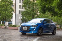 「セイバー（サーベル）」と名付けられた牙のようなデイタイムランニングライトが個性を主張する。