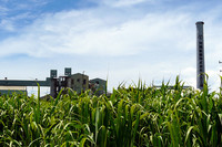 エタノールの原料となる糖蜜は、沖縄製糖の宮古工場が供給している。