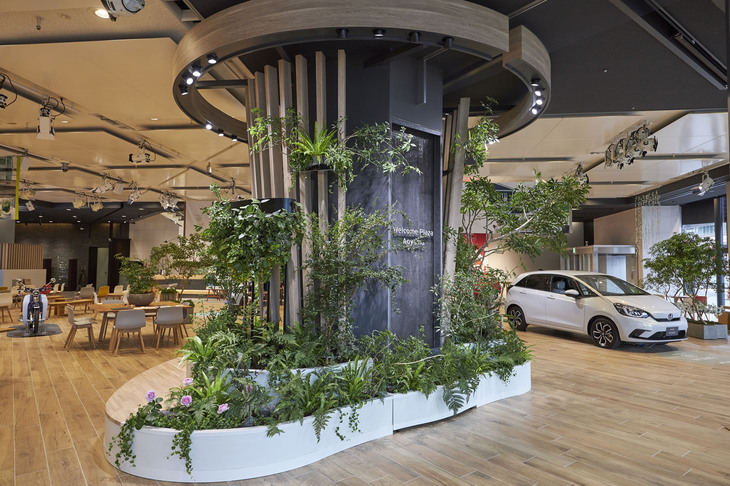 2020年1月にリニューアルオープンした当時の「Hondaウエルカムプラザ青山」。フロアには、役職や年齢、性別を超えて気軽にワイワイガヤガヤと話し合うホンダ伝統のコミュニケーション「ワイガヤ」にちなんだ「ワイガヤの木」が置かれた。