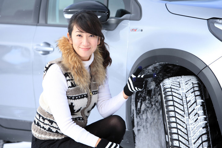 ドライ、ウエット、スノーと、さまざまな路面状況を考慮した「ベクター4シーズンズ」のトレッドパターン。日本では、この国の市場特性に合わせて改良を受けた「ベクター4シーズンズ ハイブリッド」が販売されている。