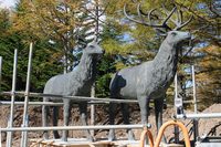 鉄パイプに囲まれた鹿の像。これ、撤去されてしまうのかな？　新装開店後も残されているといいのだけど。