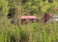 初代「フィアット・パンダ」が土に返ってゆく。