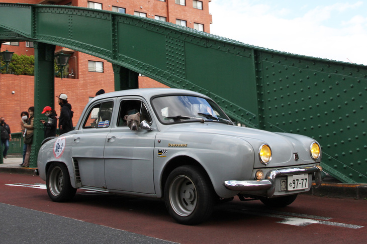 毎回、愛犬を乗せて参加している1964年「ルノー・ドーフィン ゴルディーニ」。ワンちゃんは筆者に向かって「アンタもいつも来てるね」とでも言いたげ？