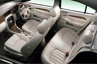 ジャガーに新種、誕生！の画像