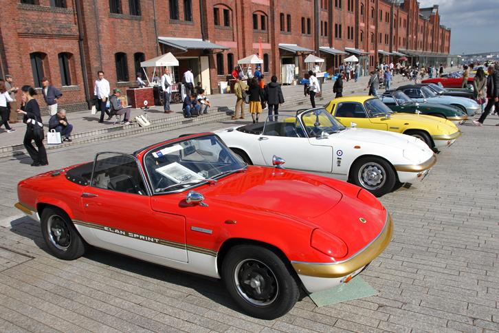 色とりどりの「ロータス・エラン」群。