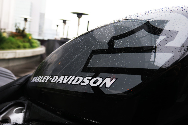 ハーレーダビッドソン・ナイトスター（エアボックスカバー）