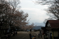 頂上は開けており、売店や自動販売機もある。