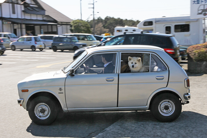「ホンダ・ライフ」。後席から顔をのぞかせているワンちゃんは、おとなしくて利口。旧車イベントではおなじみの存在だ。