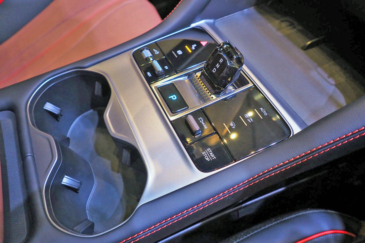 BYDシーライオン6（センターコンソールパネル）