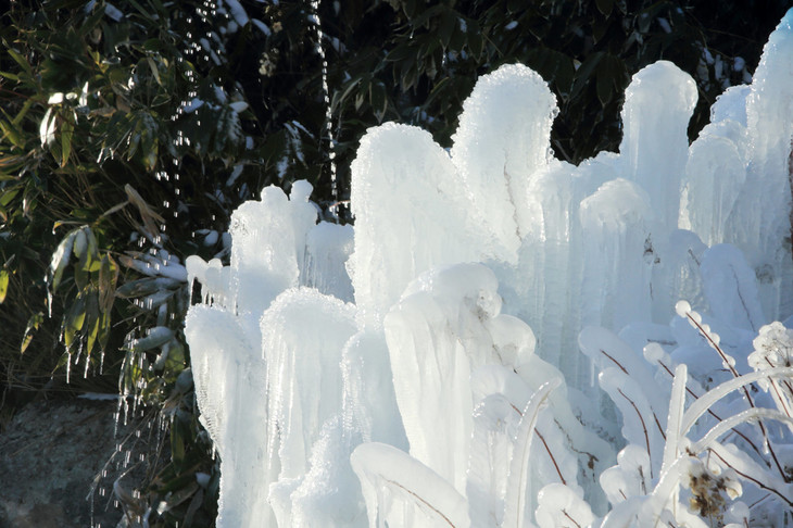 道端にはこんな光景も。この日の万座の気温は氷点下だったそうです。