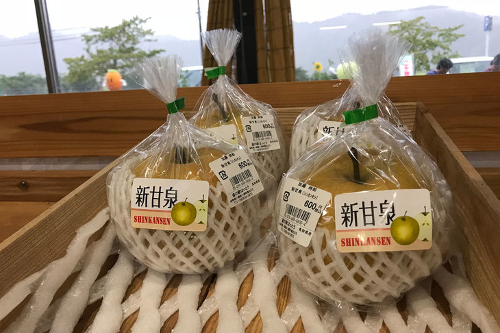 鳥取のブランド梨、新甘泉（しんかんせん）。二十世紀梨をベースに改良した品種で、一つ600円という高価なものもあった。酸味が少なく甘味が強い印象。