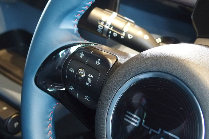 BYDドルフィン ロングレンジ（ステアリングスイッチ）