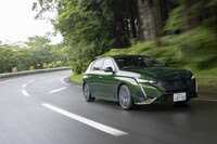 今回はぴったり308kmを走破（偶然）。満タン法の燃費は17.1km/リッターだった。