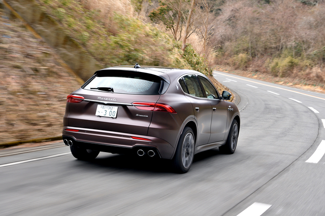 ベルセレージュ アセラグ茶 ベルセレージュ アセラグ茶 【公式通販】