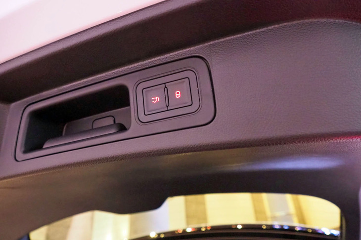 BYDシーライオン6（テールゲートスイッチ）