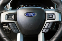 長年にわたり日本でも正規輸入販売が行われてきたフォードだが、2016年を最後に撤退。現在、フォード車は並行輸入でしか手に入れることができない状態となっている。