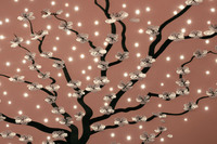 世界でたった1台だけ　「花見」をテーマに仕立てた「ロールス・ロイス・ファントム」登場の画像