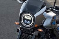 ラインナップは標準仕様の「CB1000F」と上級仕様の「CB1000F SE」の2種類。後者にはヘッドライトカウルやラジエーターグリル、グリップヒーター、クイックシフター、専用カラーステッチシートが装備される。