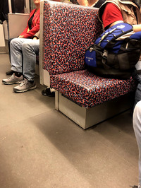 【写真13】見つめれば、何かが見えてくる？