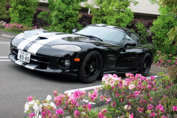 ある雨の日の「ダッジ・バイパー」の図。花があじさいだったら今回の話にピッタリだったのだが、さすがに4月は季節ではないか。