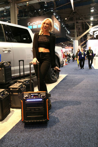 オーディオパーツメーカーであるRAPTOR社による、ラジオ内蔵ポータブルアンプ。同社はフォードとのコラボレーションも行っている。