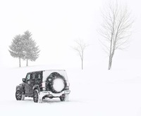 その走破能力から強烈なアウトドアイメージを放つ「ラングラー」シリーズ。オーナーの平均年齢は38歳と、ジープのラインナップの中で最も若くなっている。