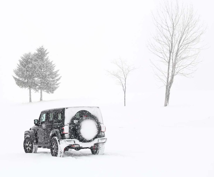 その走破能力から強烈なアウトドアイメージを放つ「ラングラー」シリーズ。オーナーの平均年齢は38歳と、ジープのラインナップの中で最も若くなっている。