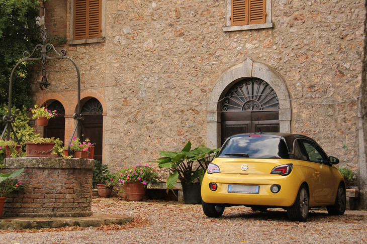 筆者のアーカイブに「アダム」の正面を写したショットが少ないのは、あまり見かけない証拠である。2013年撮影。