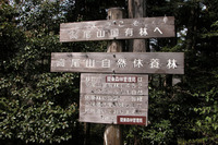 第90回：“奇跡の山”、高尾山に迫る危機その2：1200年前から守られてきた森（矢貫隆）