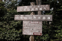 第90回：“奇跡の山”、高尾山に迫る危機その2：1200年前から守られてきた森（矢貫隆）の画像