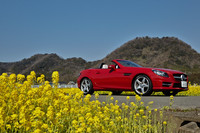 メルセデス・ベンツSLK200ブルーエフィシェンシー MT（FR/6MT）【試乗記】の画像