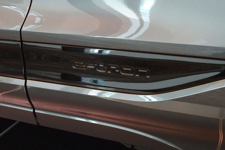 Q6 e-tronクワトロ（ボディーサイドロゴ）