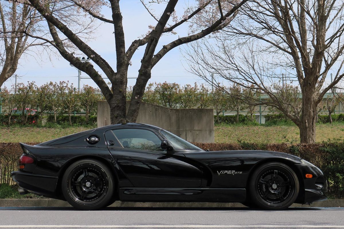 第44回 100万円 の遊興 バイパーほったの ヘビの毒にやられまして Webcg